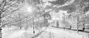 Baker Tilly Östra Värmland